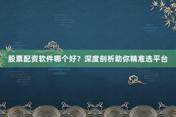 股票配资软件哪个好？深度剖析助你精准选平台