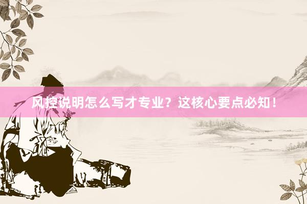 风控说明怎么写才专业？这核心要点必知！
