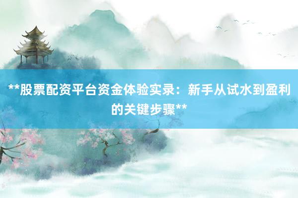 **股票配资平台资金体验实录：新手从试水到盈利的关键步骤**