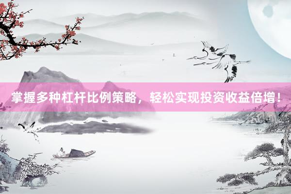掌握多种杠杆比例策略，轻松实现投资收益倍增！