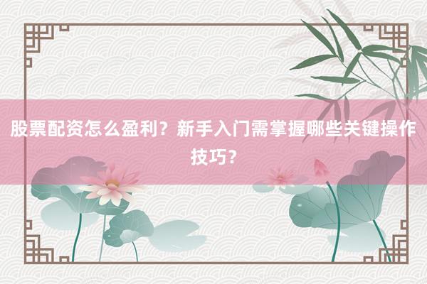 股票配资怎么盈利？新手入门需掌握哪些关键操作技巧？