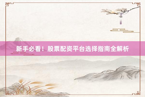 新手必看！股票配资平台选择指南全解析