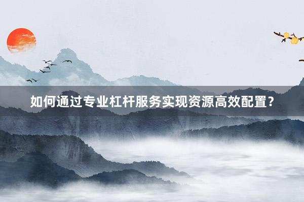 如何通过专业杠杆服务实现资源高效配置？
