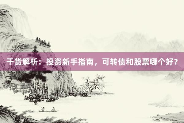 干货解析：投资新手指南，可转债和股票哪个好？
