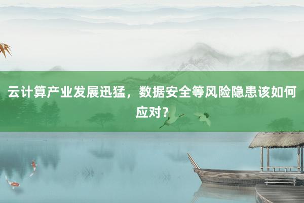 云计算产业发展迅猛，数据安全等风险隐患该如何应对？