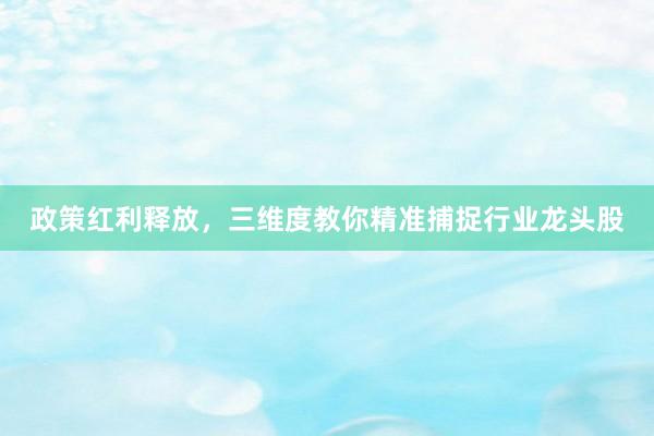 政策红利释放，三维度教你精准捕捉行业龙头股