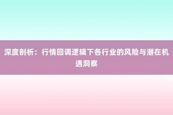 深度剖析：行情回调逻辑下各行业的风险与潜在机遇洞察