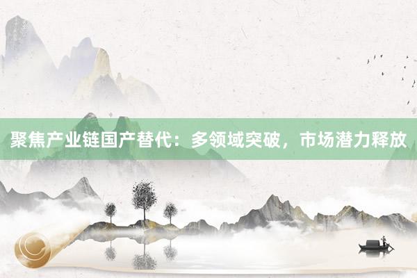 聚焦产业链国产替代：多领域突破，市场潜力释放