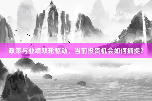 政策与业绩双轮驱动，当前投资机会如何捕捉？