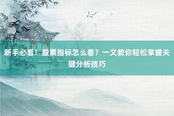 新手必看！股票指标怎么看？一文教你轻松掌握关键分析技巧
